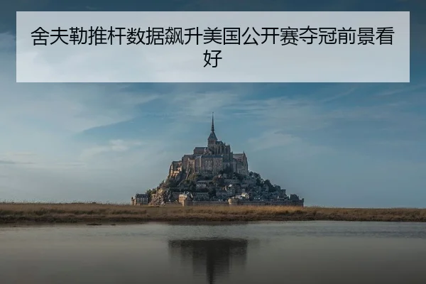 舍夫勒推杆数据飙升美国公开赛夺冠前景看好
