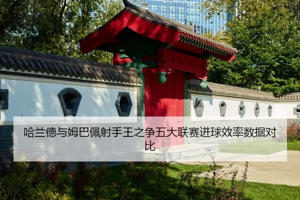 哈兰德与姆巴佩射手王之争五大联赛进球效率数据对比